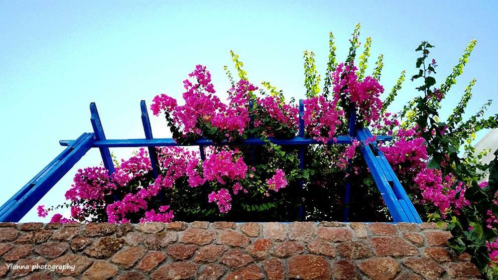 Bougainvillea Suites คามารี ภายนอก รูปภาพ