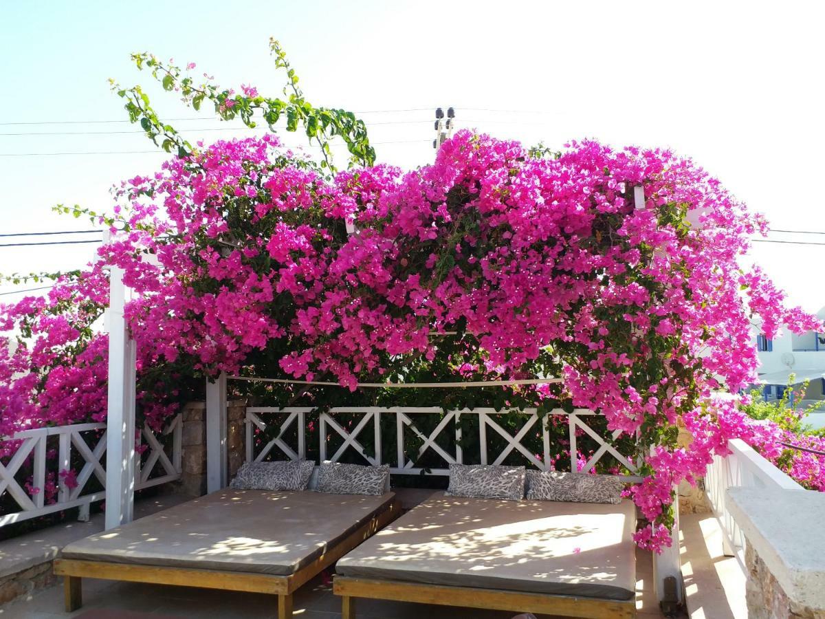 Bougainvillea Suites คามารี ภายนอก รูปภาพ
